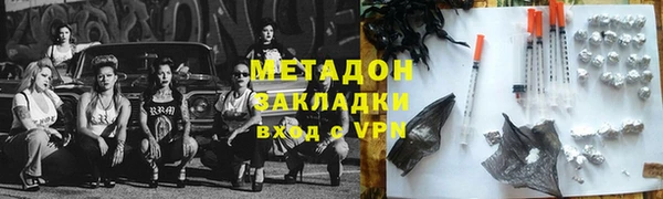 индика Богданович