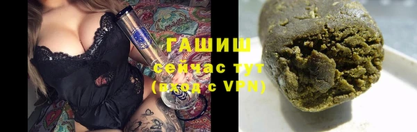 индика Богданович