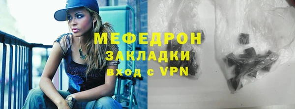индика Богданович