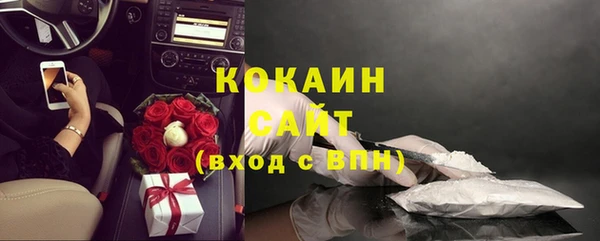 индика Богданович