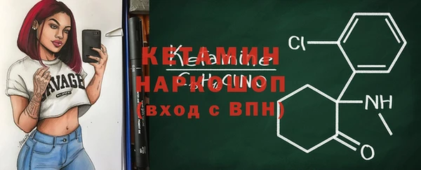индика Богданович