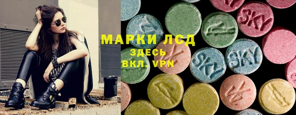 индика Богданович