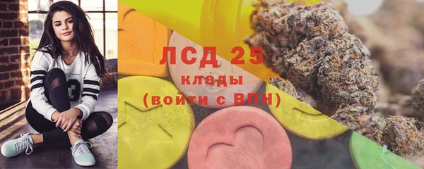 индика Богданович