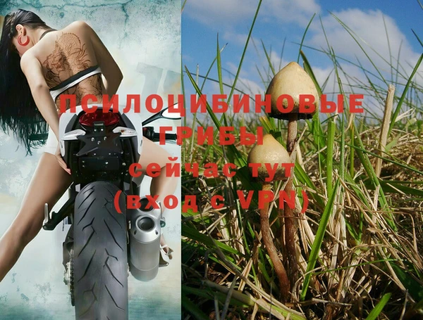 кокс Богородицк