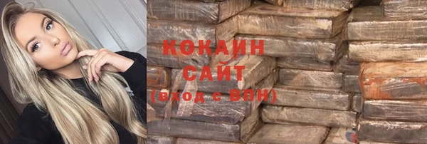 кокс Богородицк