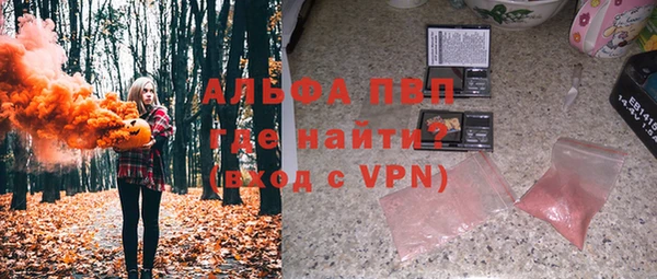 индика Богданович